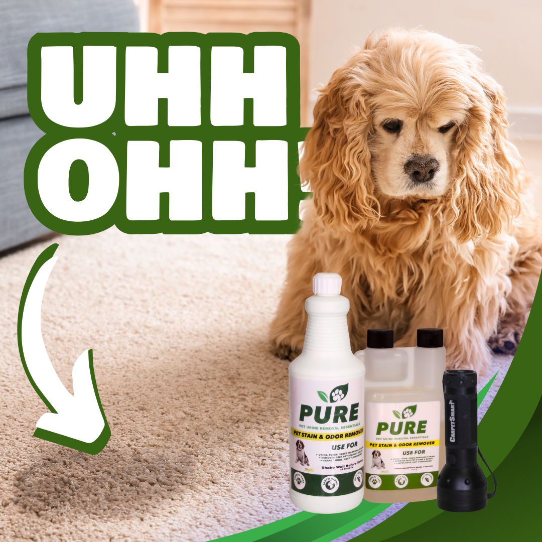 Carpet Cleaning Urine Removal Solution